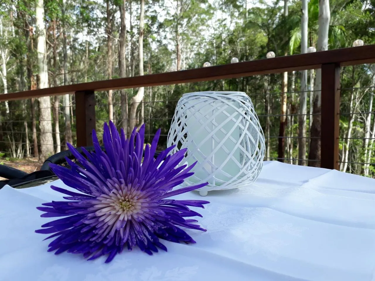 Stay @ The Cube Montville Australia